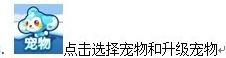 唱吧小飞侠宠物攻略